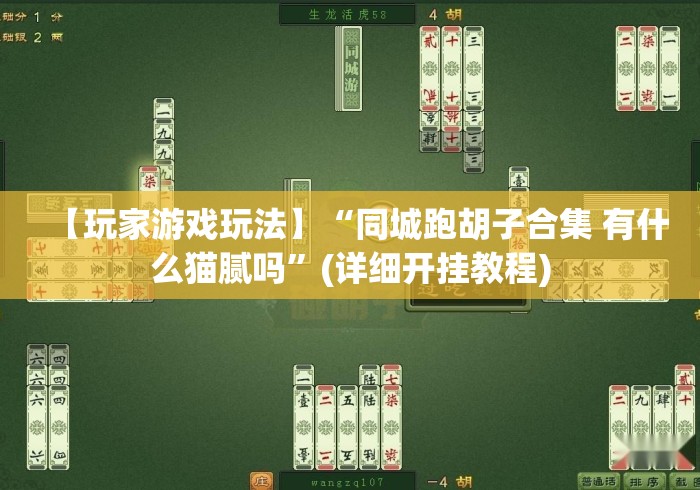 【玩家游戏玩法】“同城跑胡子合集 有什么猫腻吗”(详细开挂教程)