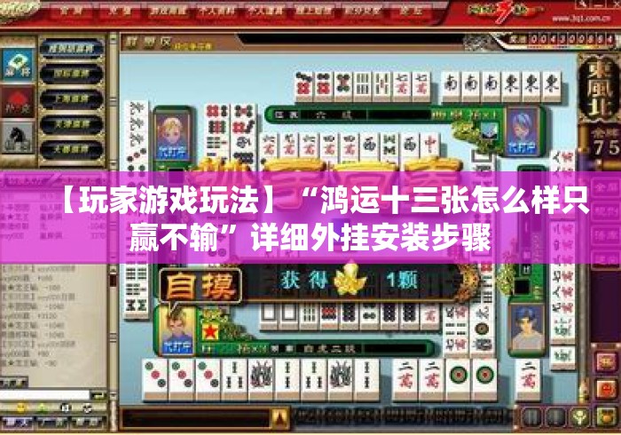 【玩家游戏玩法】“鸿运十三张怎么样只赢不输”详细外挂安装步骤